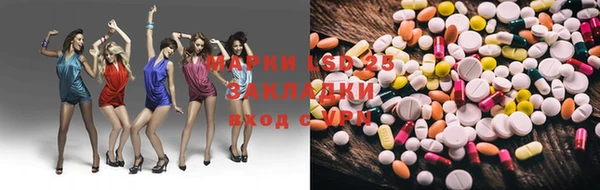 стафф Арсеньев