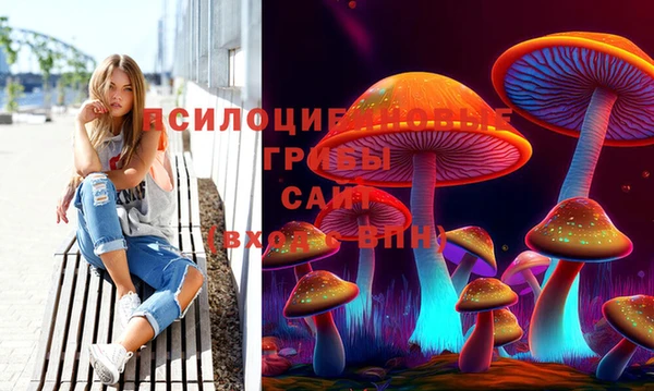 стафф Арсеньев