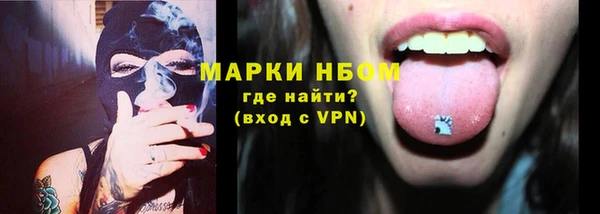 стафф Арсеньев