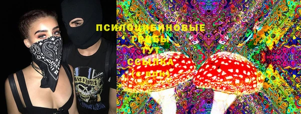 стафф Арсеньев