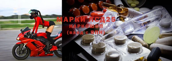 стафф Арсеньев