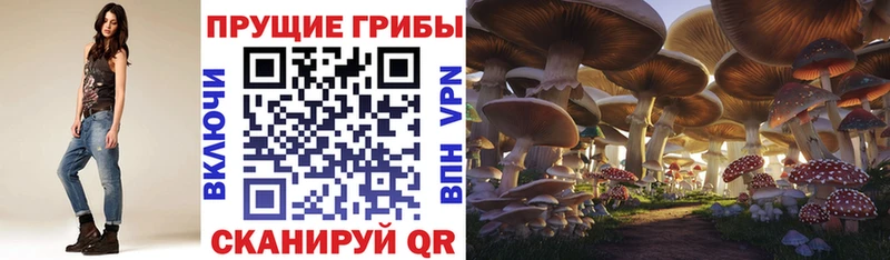 кракен tor  Бийск  Псилоцибиновые грибы прущие грибы 